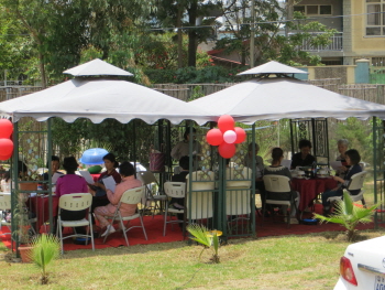 Garden Open Party.JPG